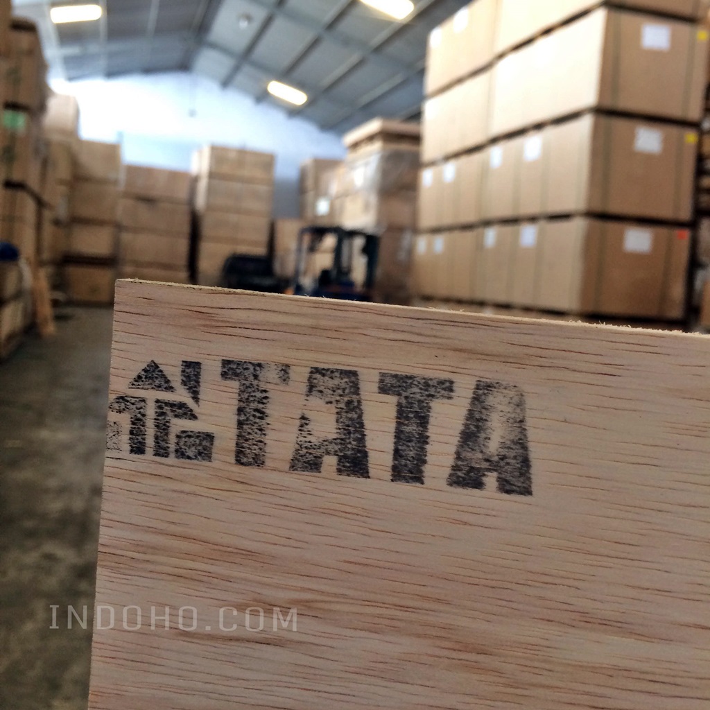 Triplek Plywood Tata Full Sengon